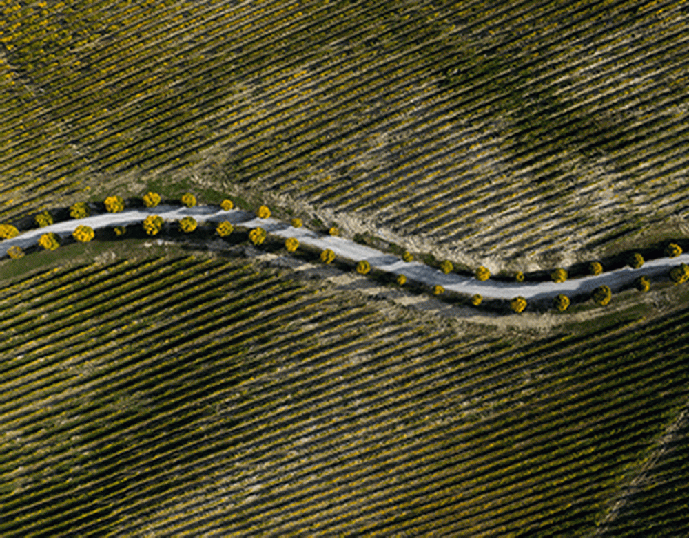 Ледяной дождь в Москве превратил дороги в каток